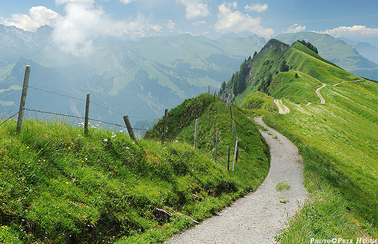 Cesta nad Hoch Ybrig