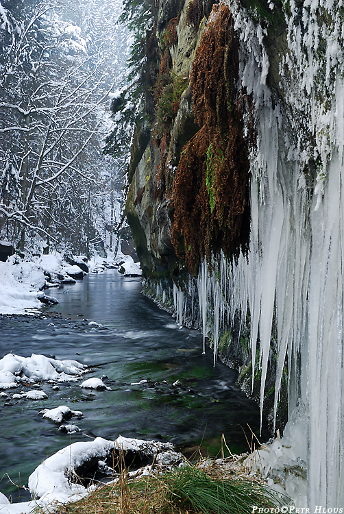 Kamenice