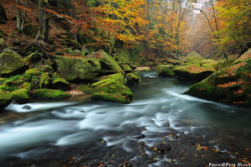 Kamenice