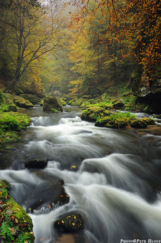 Kamenice