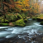 Kamenice | fotografie