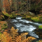 Kamenice | fotografie