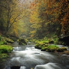 Kamenice | fotografie