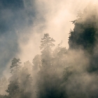 Kouzelná mlha | fotografie