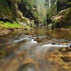 Křinice | fotografie