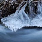 Ledová krása na Křinici | fotografie