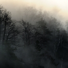 Mlha na Liliensteinu | fotografie