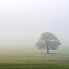 Osamocen | fotografie