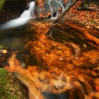Podzim na Černém potoce | fotografie